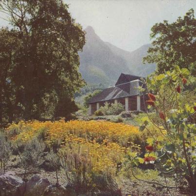 Kirstenbosch