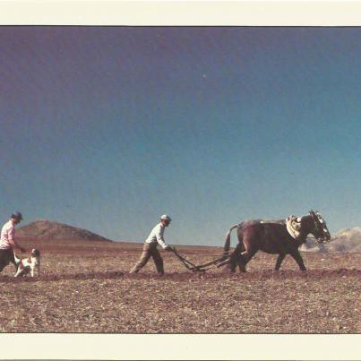 Spain, Farming