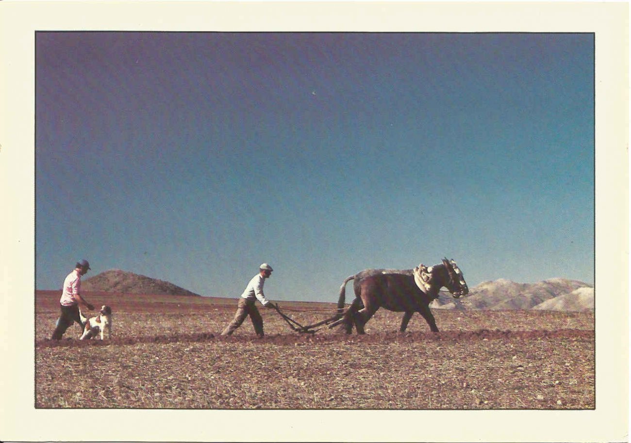 Spain, Farming