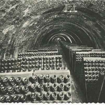 San Sadurni de Noya, Casa Codorniu (Wine Estate)_2