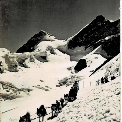 Sled dog team Jungfrau
