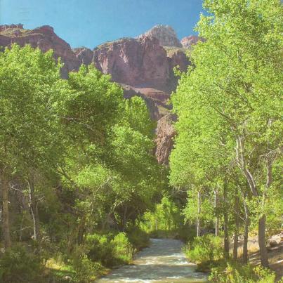 Grand Canyon National Park. Bright Angel Campground_1