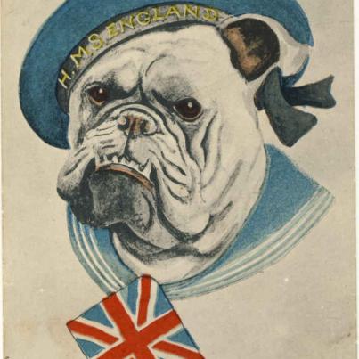 Bulldog in wrcompressed