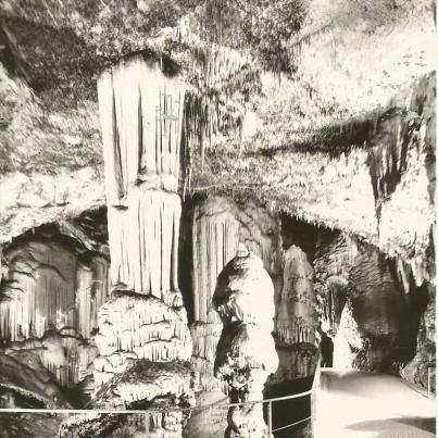 Slovenia, Postojnska Jama Cave